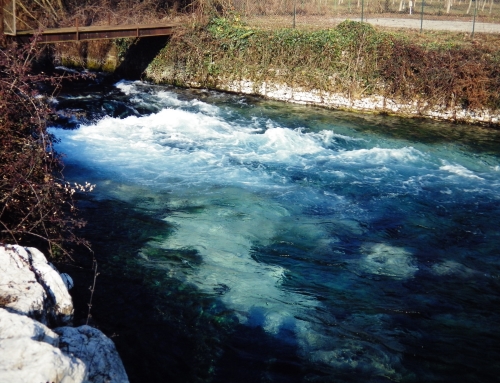 Sorgente fiume Gari – fine anni ’90