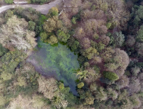 Sorgente fiume Gari – vai alla sezione